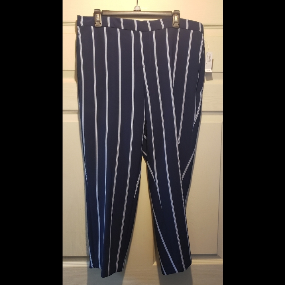 Dress Pants